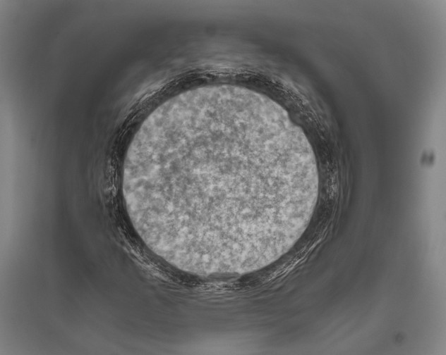 X0000096641253200803041118