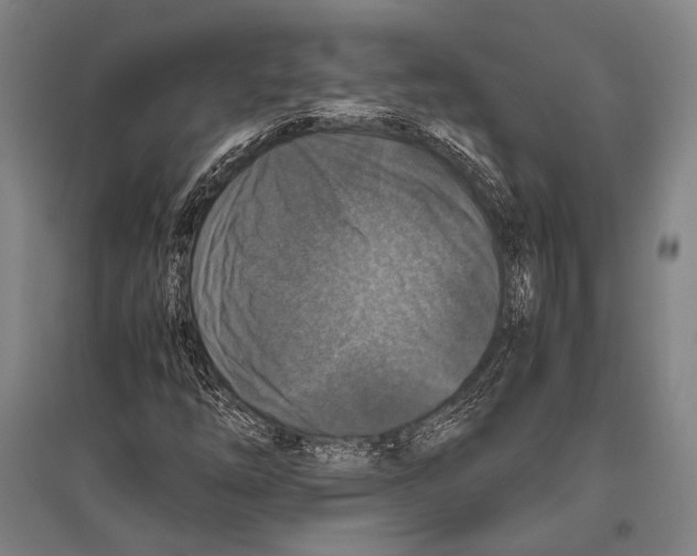 X0000096641254200803041118