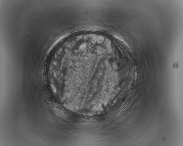 X0000096641256200803041118