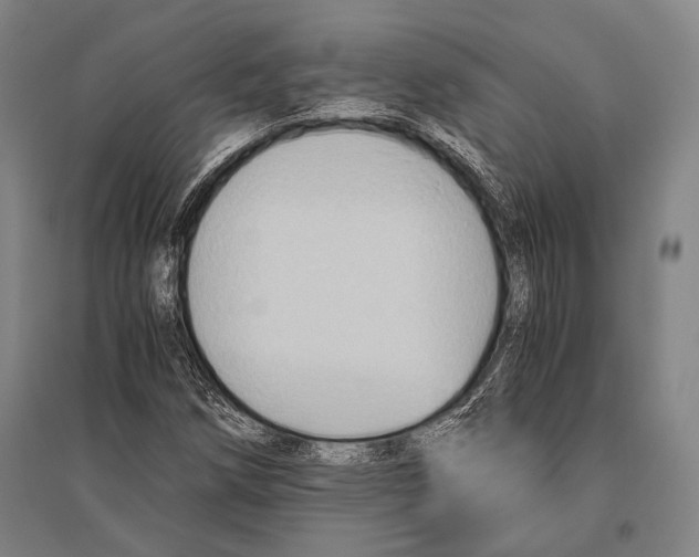 X0000096641258200803041118