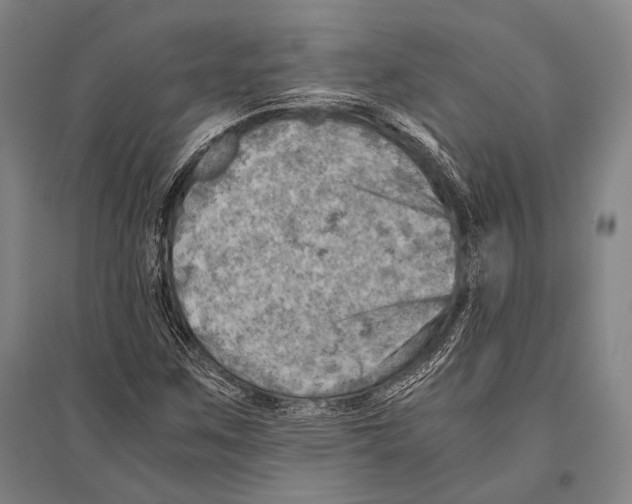 X0000096641259200803041118