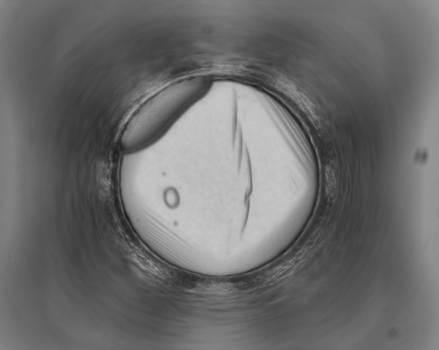 X0000096641260200803041118