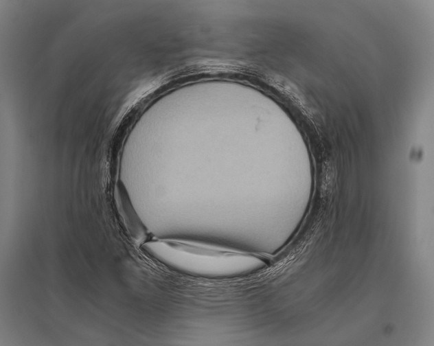 X0000096641261200803041118