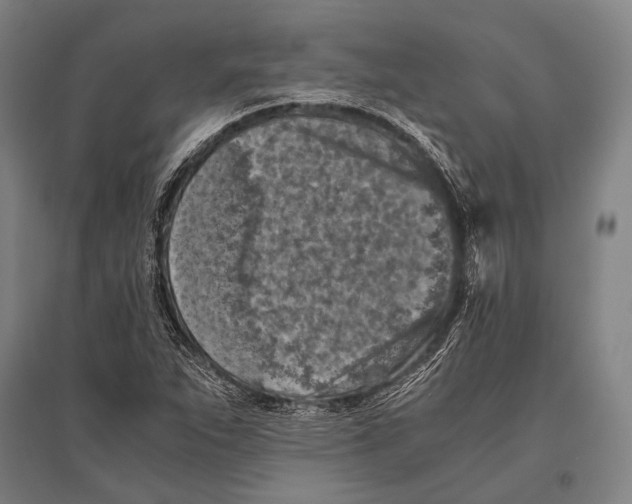 X0000096641263200803041118