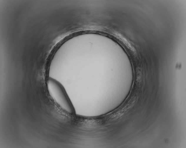 X0000096641264200803041118