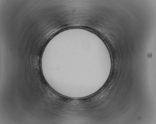 X0000096641265200803041118