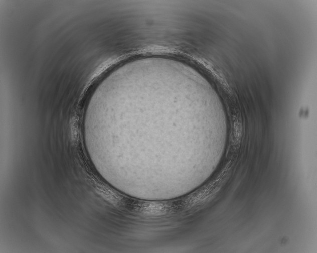 X0000096641266200803041118