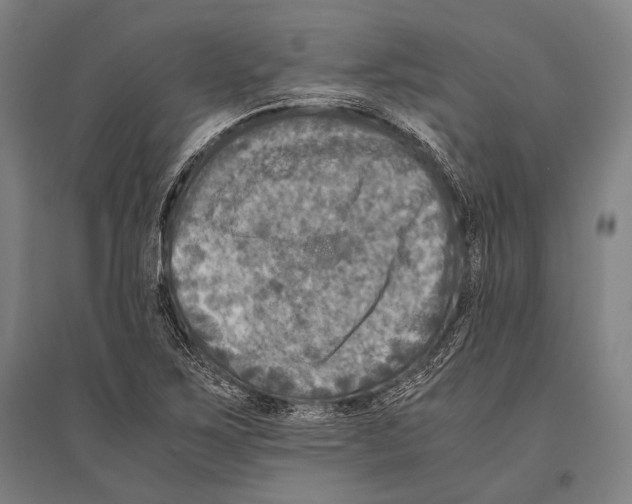 X0000096641267200803041118