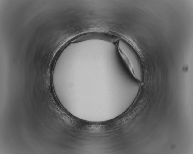 X0000096641268200803041118