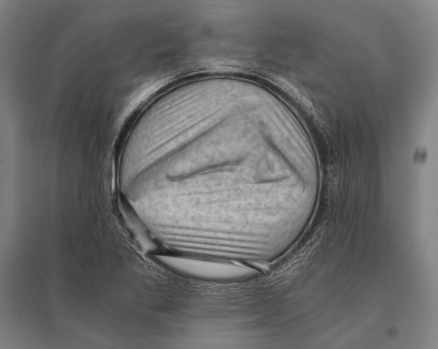 X0000096641269200803041118