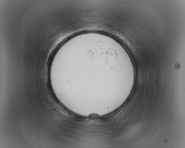 X0000096641270200803041118