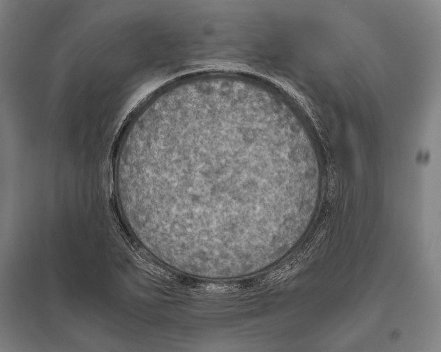 X0000096641271200803041118