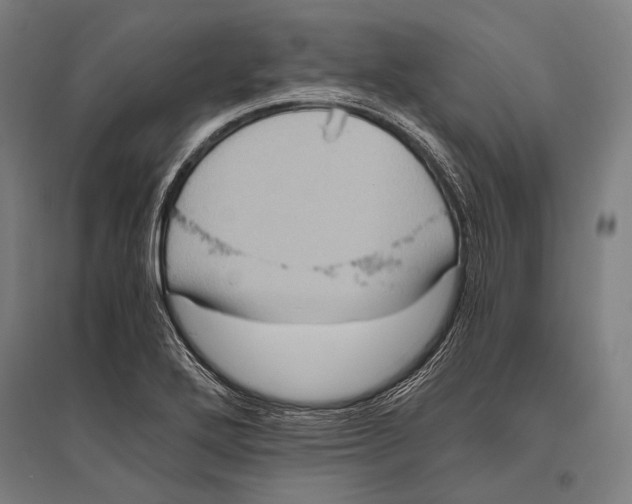 X0000096641272200803041118