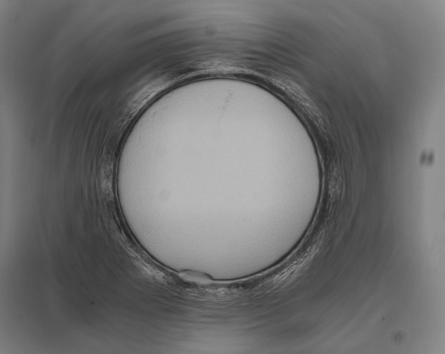 X0000096641273200803041118