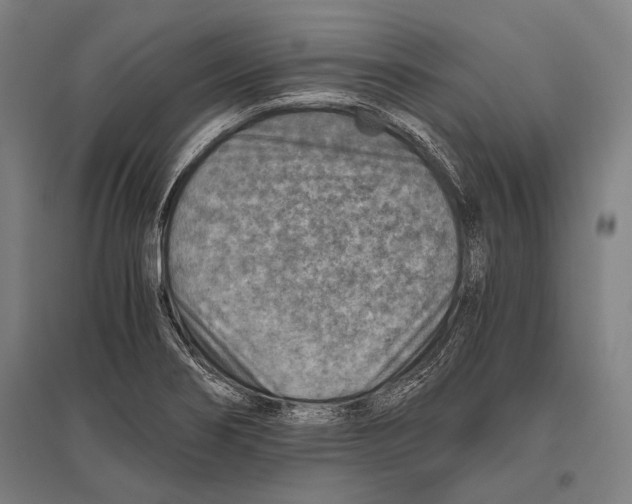 X0000096641274200803041118