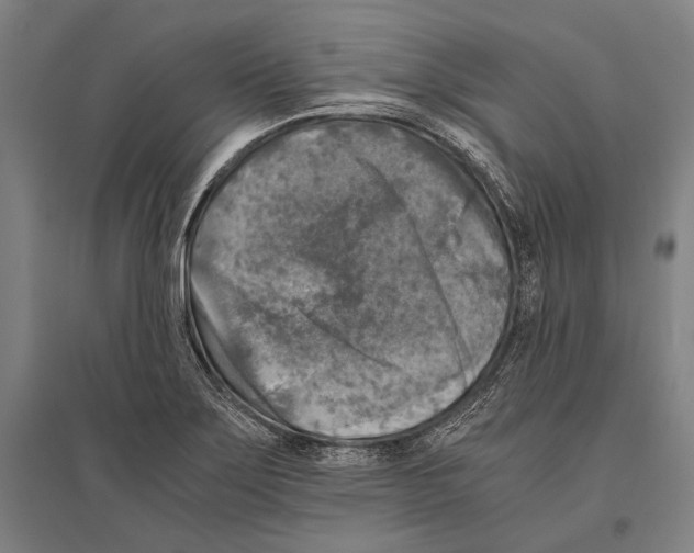 X0000096641275200803041118