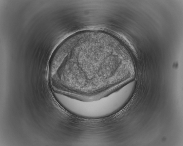 X0000096641276200803041118