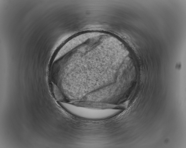 X0000096641277200803041118