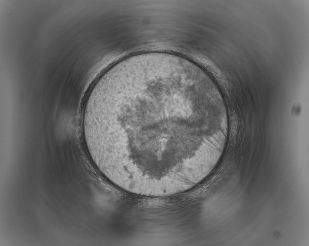 X0000096641278200803041118