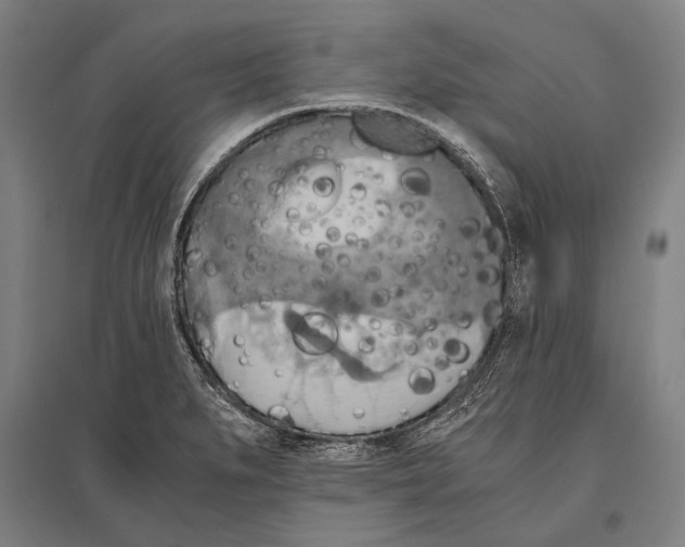 X0000096641279200803041118