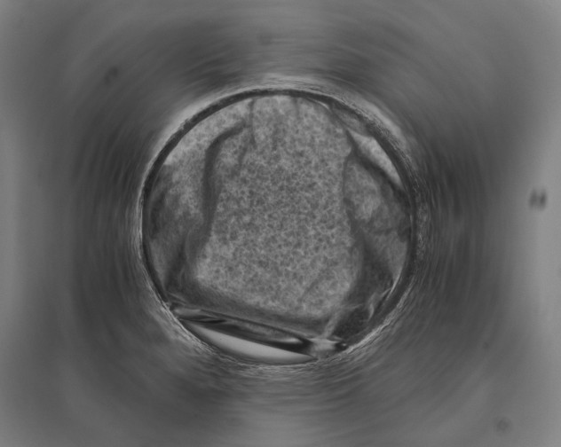 X0000096641280200803041118