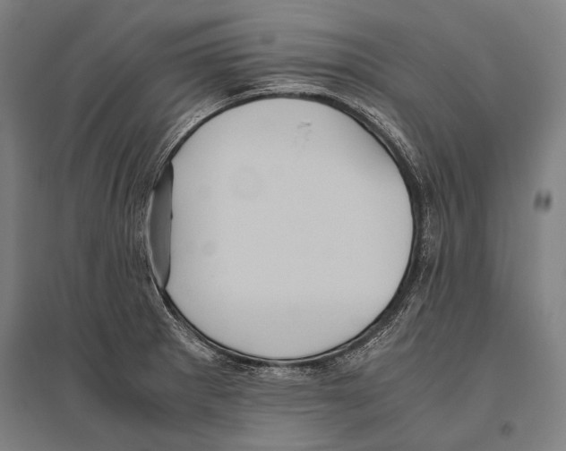 X0000096641281200803041118