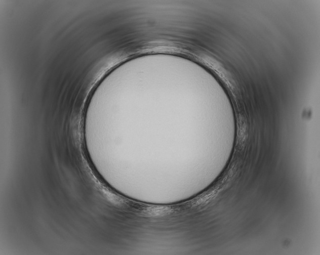 X0000096641282200803041118