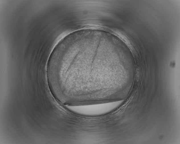 X0000096641283200803041118