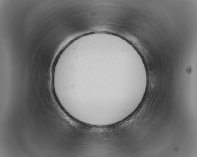 X0000096641286200803041118