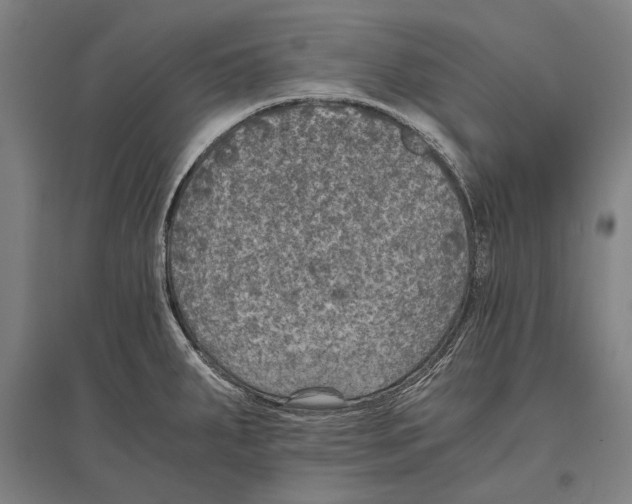 X0000096641287200803041118