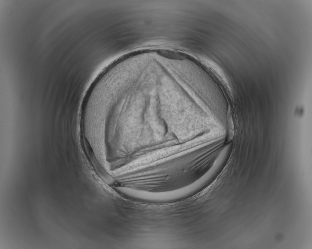 X0000096641288200803041118