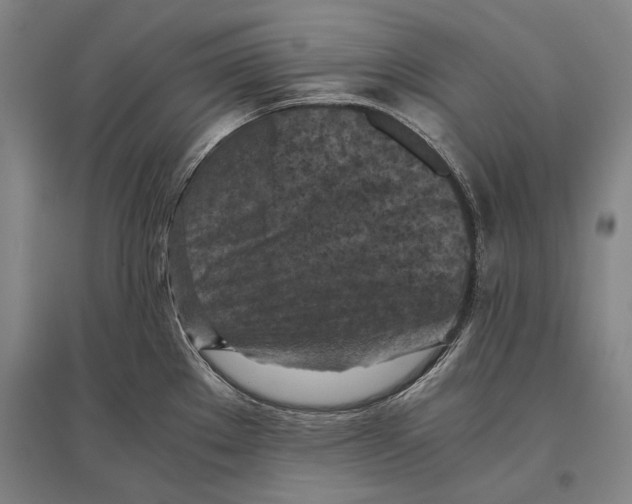 X0000096641289200803041118