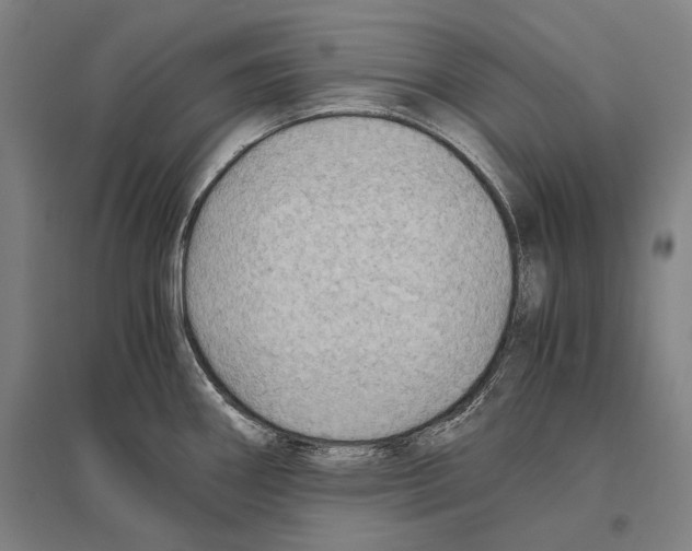 X0000096641290200803041118