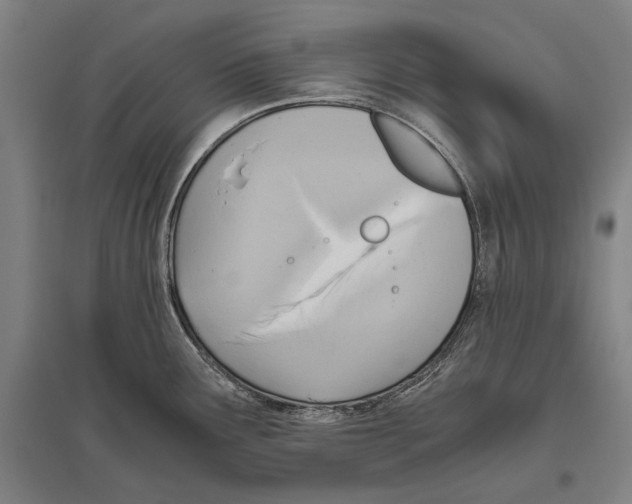 X0000096641291200803041118