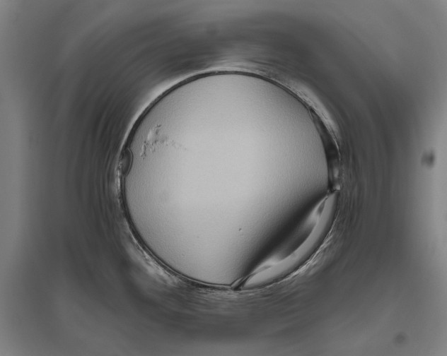 X0000096641292200803041118