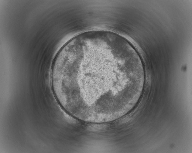 X0000096641294200803041118