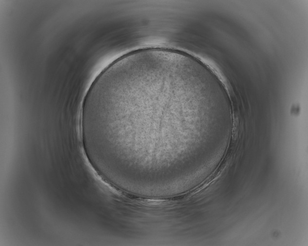 X0000096641295200803041118