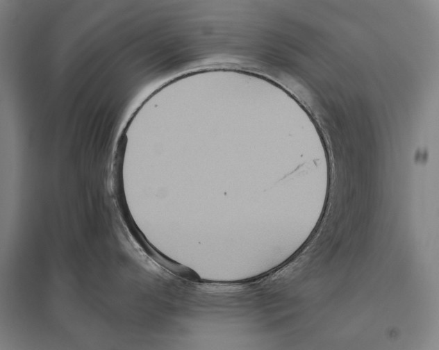 X0000096641296200803041118