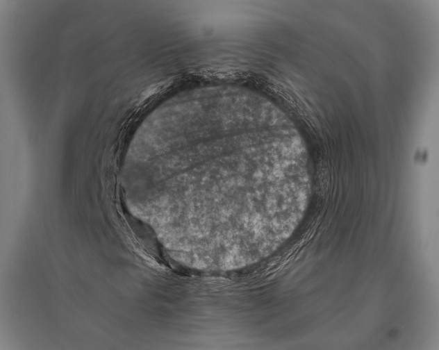 X0000096641297200803041117