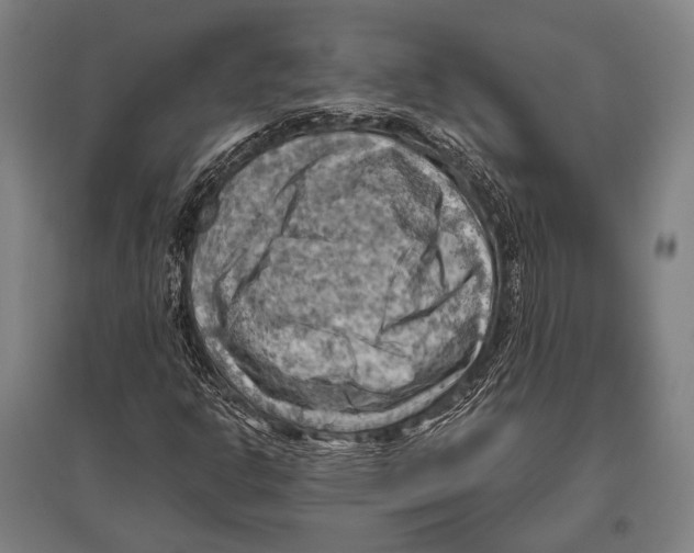 X0000096641302200803041117