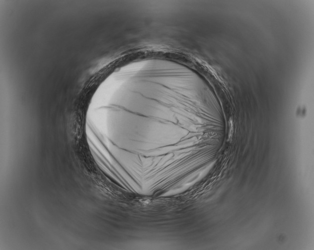 X0000096641303200803041117