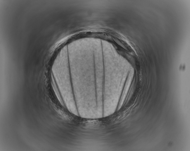 X0000096641304200803041117