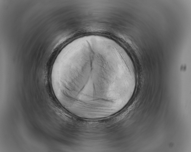 X0000096641306200803041117