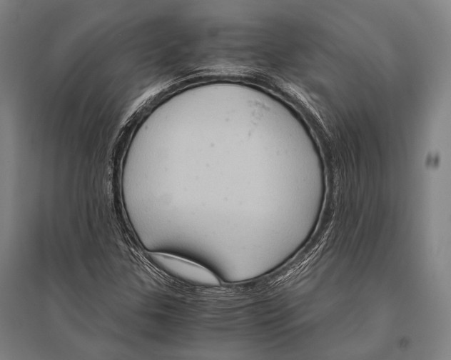 X0000096641307200803041117