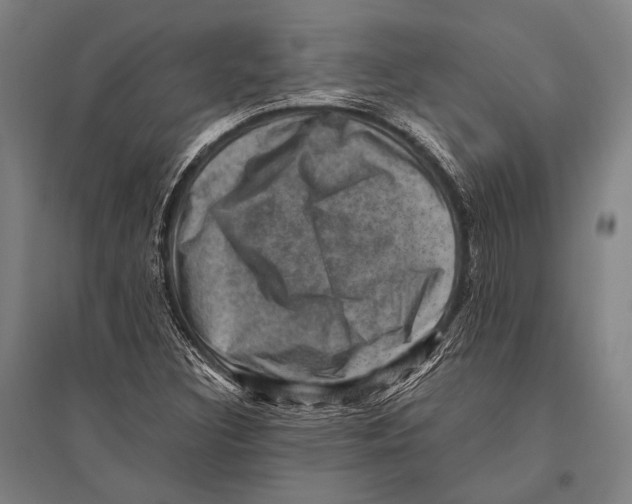 X0000096641308200803041117