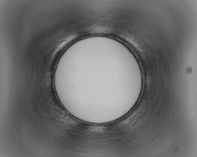 X0000096641309200803041117