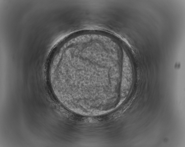 X0000096641311200803041117