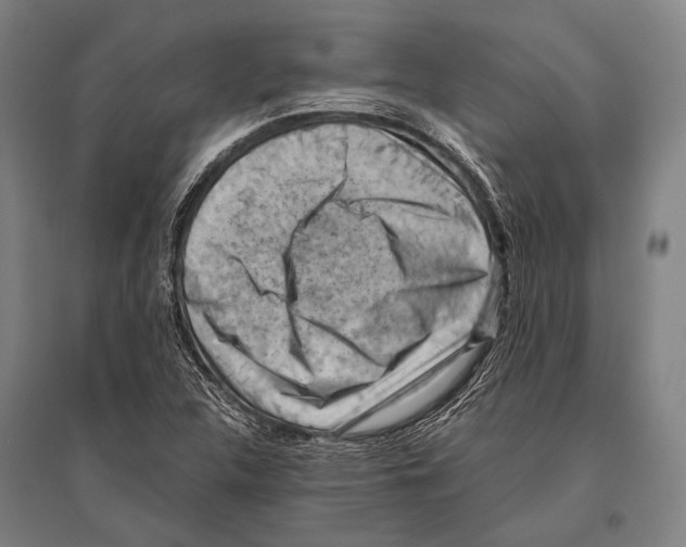 X0000096641312200803041117