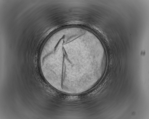 X0000096641313200803041117