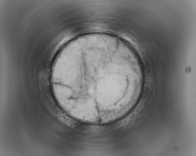 X0000096641314200803041117